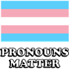 Pronouns Matter Trans Flag