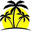 beach palm trees