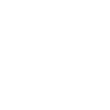 beach palm trees