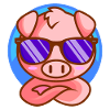 Little piglet with sunglasses