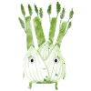 Fenchel