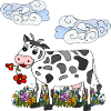 Cow