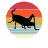 Grasshopper