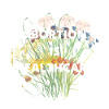 Abortion is Healthcare