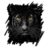 Black panther