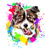 Australian Shepherd Art Dog Motif Hundeejer