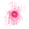 citron, rose, graffiti, pop-art