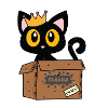 Katze mit Krone im Karton