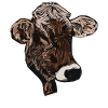 Cow motif