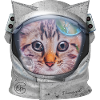 Chat dans l’espace