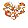 Crevette Coeur Crevette