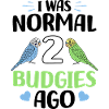Budgerigar