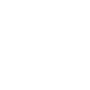 Evolution Metzger