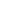 Lighthouse swallow