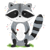 Waschbär Emil