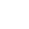 Camel camel