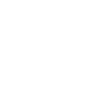Mouse mouse
