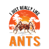 J’aime vraiment Ants Anthill Ant