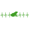 Frog Heartbeat Amphibian Pet