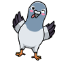 Pigeon Bird Columbidae Emoticon Pigeons