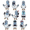 Pigeon Bird Columbidae Emoticons Pigeons