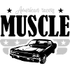 Muscle car american racers
