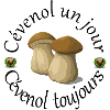 Cévenol cèpes