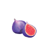 Fig Shirt
