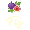 Fig