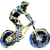 vtt mtb downhill