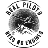 Airplane Pilot Glider Plane