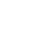 Pelican pelican