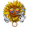 Tournesol Hippie Stoner