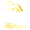 Haflinger disant blague Haflinger