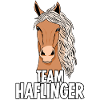 Haflinger Team Haflingers