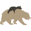 Bear with young