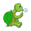 Turtle with soap bubbles