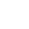 Pilot