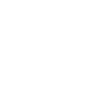 Pilot