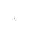 CADEAU PIRATERIE PIRATE