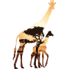 Giraffe and his cub