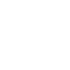 Tortue tortue
