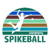 Spikeball