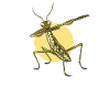 Mantis
