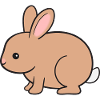 Rabbit Rabbit