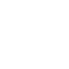 RUN FOREST RUN