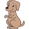 Dog Dogs