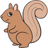 Écureuil