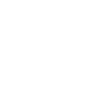 Donkey Esel
