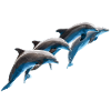 Dolphin Group Jumping, Natural